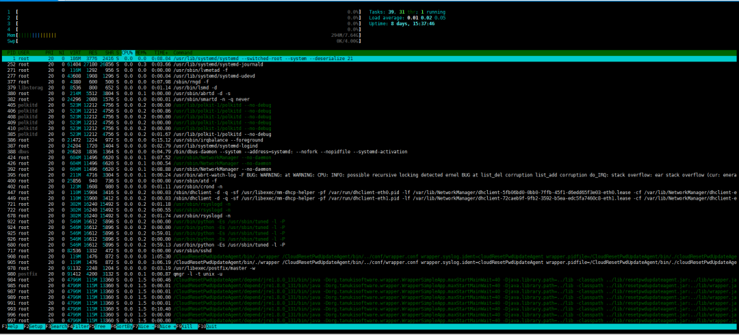 Linux 怎么获取CPU 信息?记住这六条指令!_图6