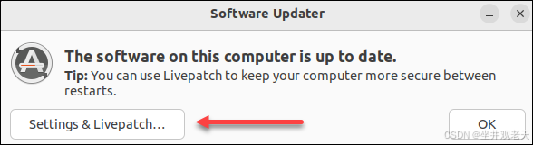 步骤 1：使用软件更新程序_图4