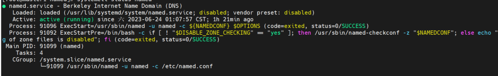 启动DNS服务_图2