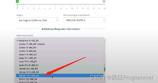 选择系统 这里我选的（deban10）