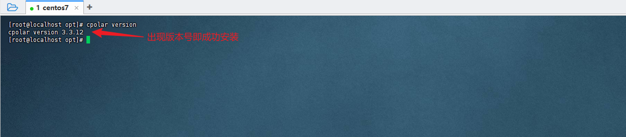 3.1 安装cpolar配置支持远程ssh登录_图2