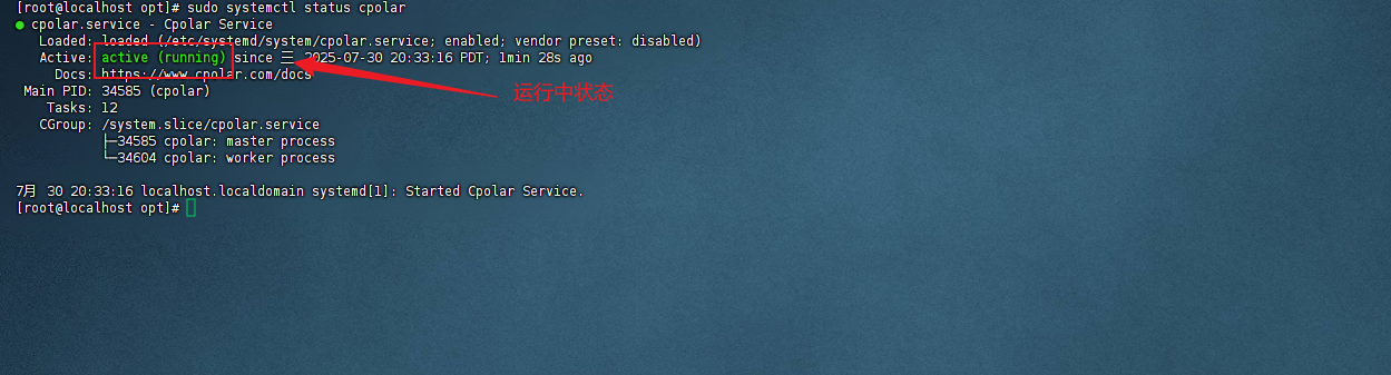 3.1 安装cpolar配置支持远程ssh登录_图5