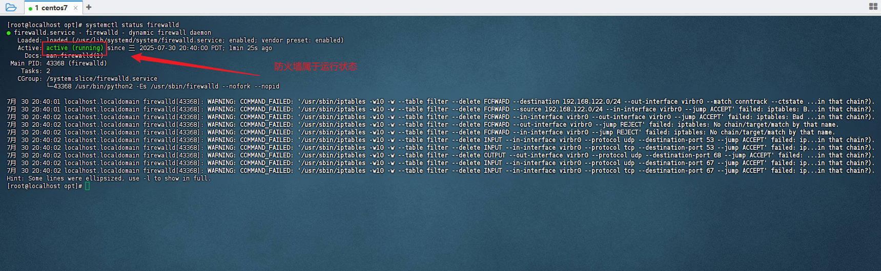 3.1 安装cpolar配置支持远程ssh登录_图6