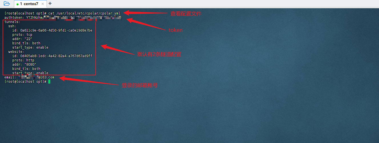 3.1 安装cpolar配置支持远程ssh登录_图12