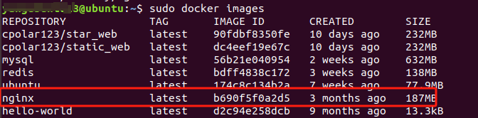 2. 使用Docker拉取Nginx镜像_图2