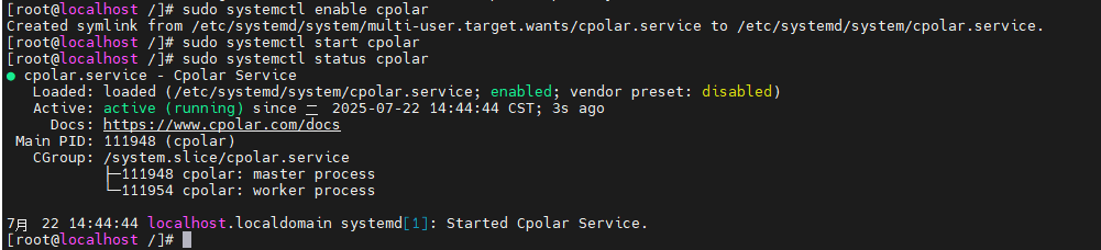 2.安装cpolar实现随时随地开发_图2