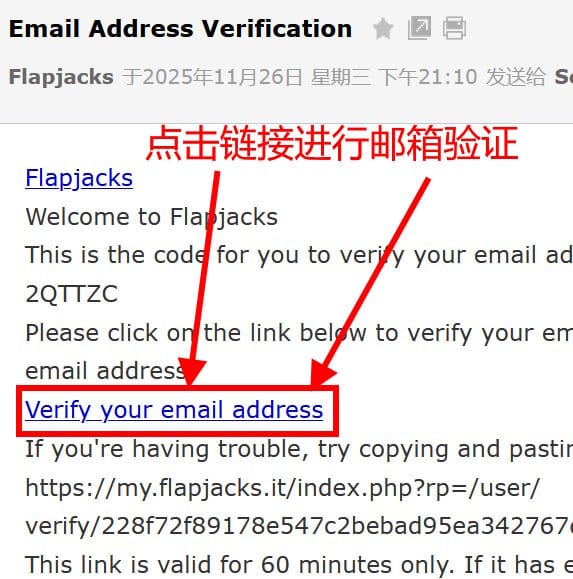 第四步:激活与获取VPS密码 – 核心步骤详解_图2