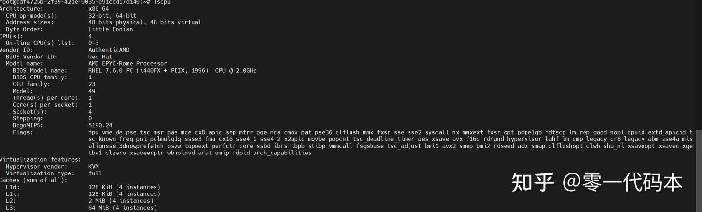 3.1 查看VPS的CPU信息：命令详解与解读