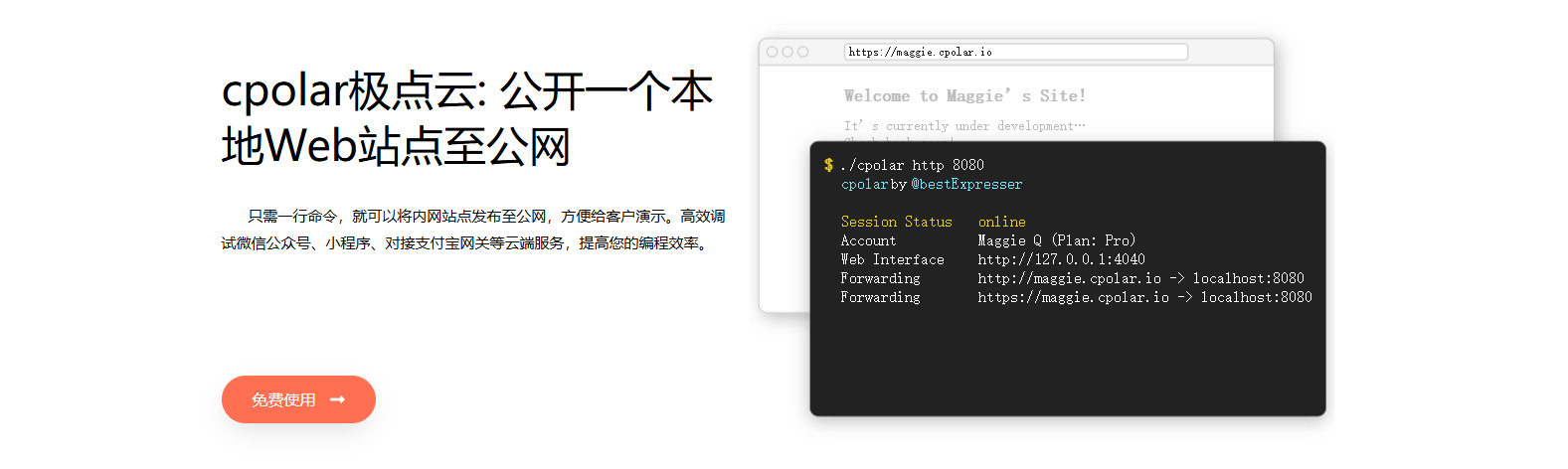 5.1 什么是cpolar?