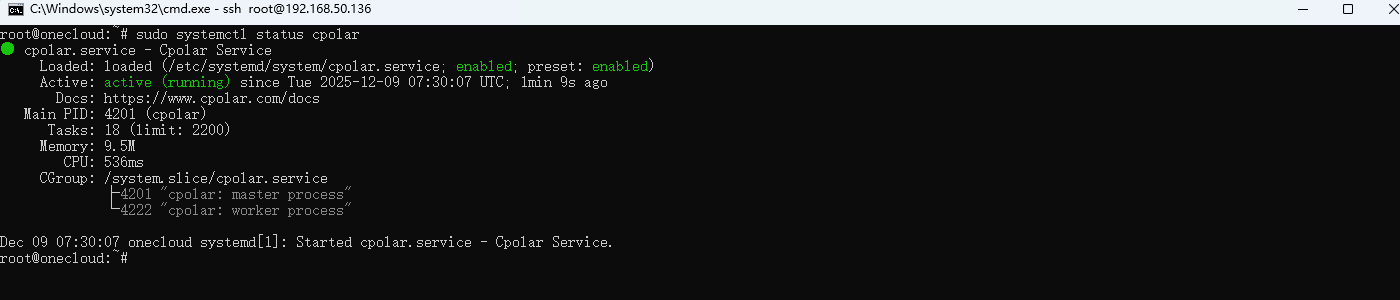 5.2 安装cpolar_图3
