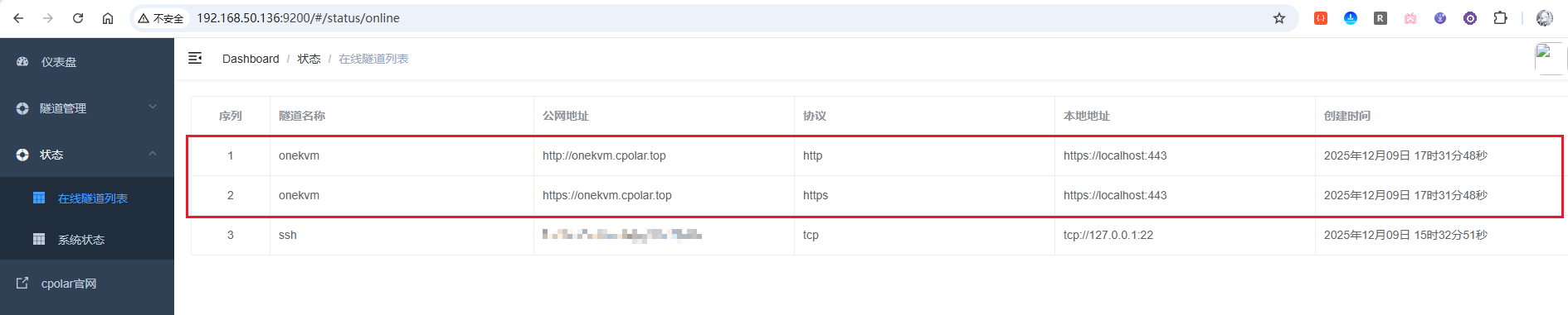 5.3.2 固定域名方式_图4