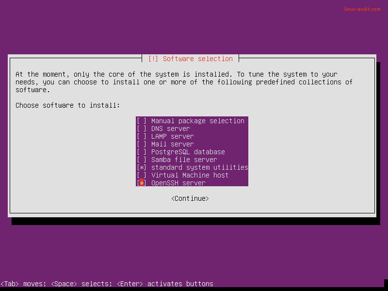 截屏选择 Ubuntu 服务器安装程序中的软件包