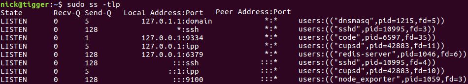 linux ss命令详解