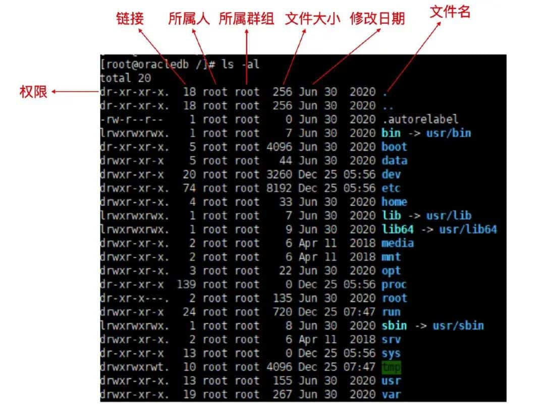 看完这篇 Linux 权限，通透了！