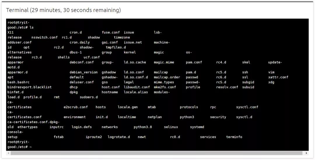 在线运行 Linux，强的离谱！