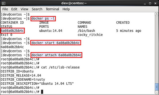 在CentOS或Fedora上运行Docker容器的方法与步骤